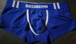 Blue SEOBEAN Boxer Briefs