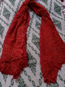 Bandhani Stole Dupatta