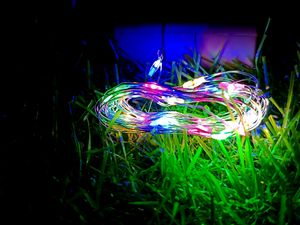 Colouring Rice Lights