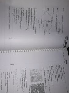 Medicine MARROW ED. 5 Notes (For NEET- PG exam!!)