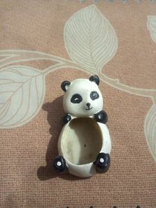 Cute Panda Plant