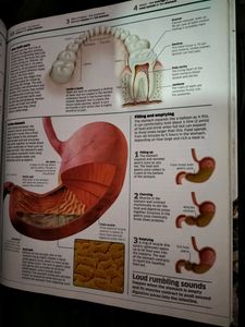 Knowledge Encyclopedia