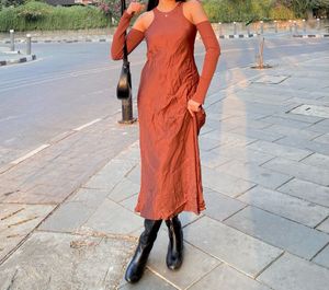 Zara Silk Sleeve Dress