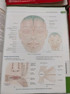 Anatomy And Physiology Textbooks Combo