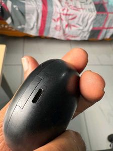 Dizo Real Me Ear Buds