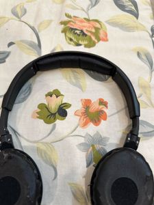 Sennheiser Head Phone