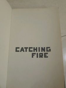 Fiction Book