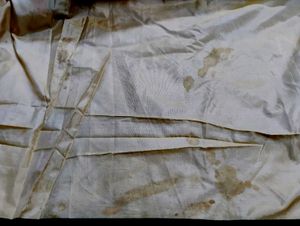 Pure Kanjeevaram Silk Saree Cream Colour.
