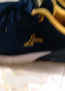 Sport Shoes