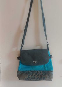 Baggit Bag