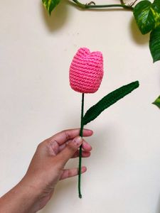 Crochet Tulip Flower