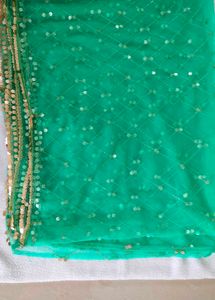 Green Net Dupatta lehenga