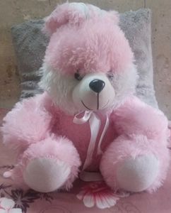 🧸 Teddy Bear