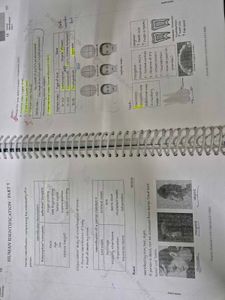 Forensic Medicine - Marrow Edition 6.5