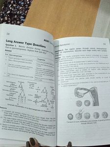 NCERT Biology Class 12