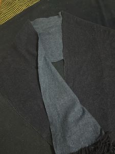men winter branded muffler
