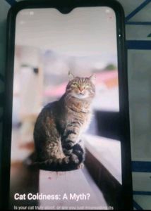 Oppo A1K Phone📞