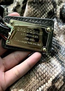 Crocodile 🐊 Metalic Grey Bag