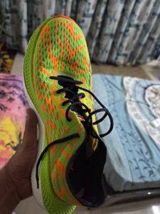 Sport Shoes Skechers