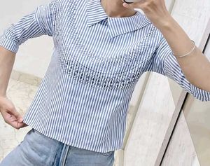 Blue Top