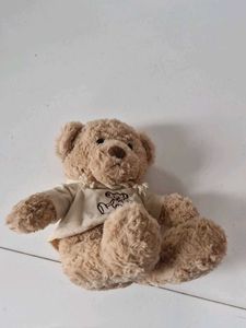 Cute Hoodie Teddy