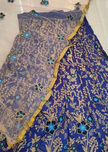 Lehenga Choli Set