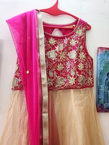 Embroidered Lehenga Choli Set