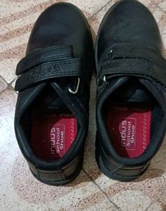 Indus School Shooes