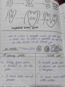 Biology Class 10th Notes