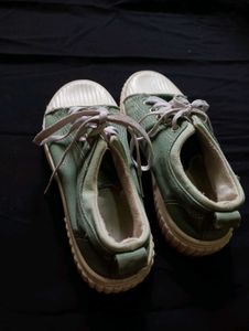 Olive Green Canvas