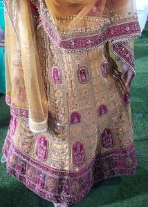 Gold Embroidered Lehenga rajwadi