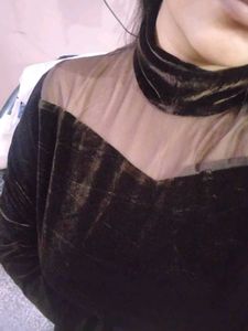 Elegant Brown Velvet Top