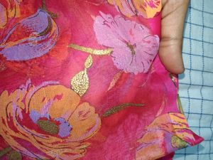 Organza Type Saree