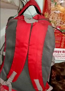 Red 55L New Skybags Bagpack