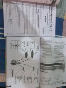 CBSE Class 10 Exam Prep Books