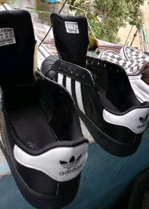 Adidas Superstar