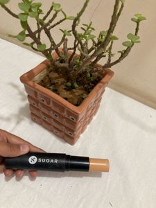 Sugar Foundation