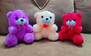 Snuggle Mystery Teddy