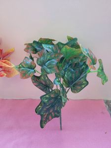 Leaf Bunches