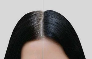 Natural Ayurvedic Hair Oil