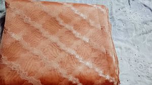 Tissue Saree 2