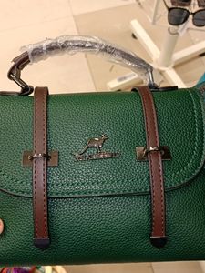 Handbag