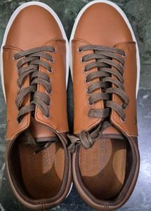 Brand New Men Sneaker In Size 7 US POLO