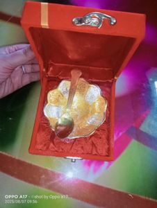 Decorative Bowl & Spoon Set , Free 12 Cloth Clips