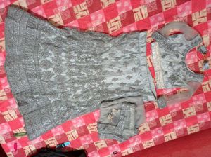Embroidered Lehenga Choli