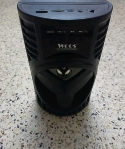 Woos Speaker
