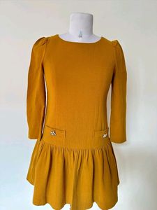 Pretty Mustard Dress