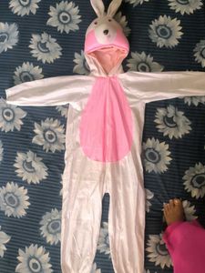5 Year Old Rabbit Dress