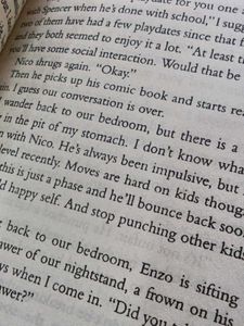 Freida McFadden Books Bundle10