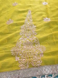 Yellow Green Banaras Chiffon
